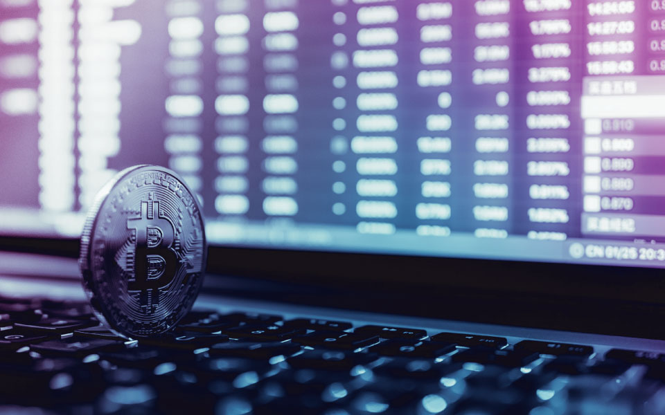 Cryptocurrency Hardware Wallet - Secure Emerging Digital Assets